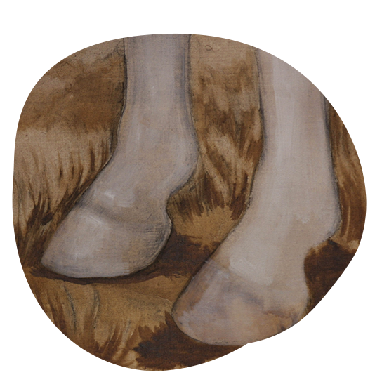 navrat k jednoduchosti logo