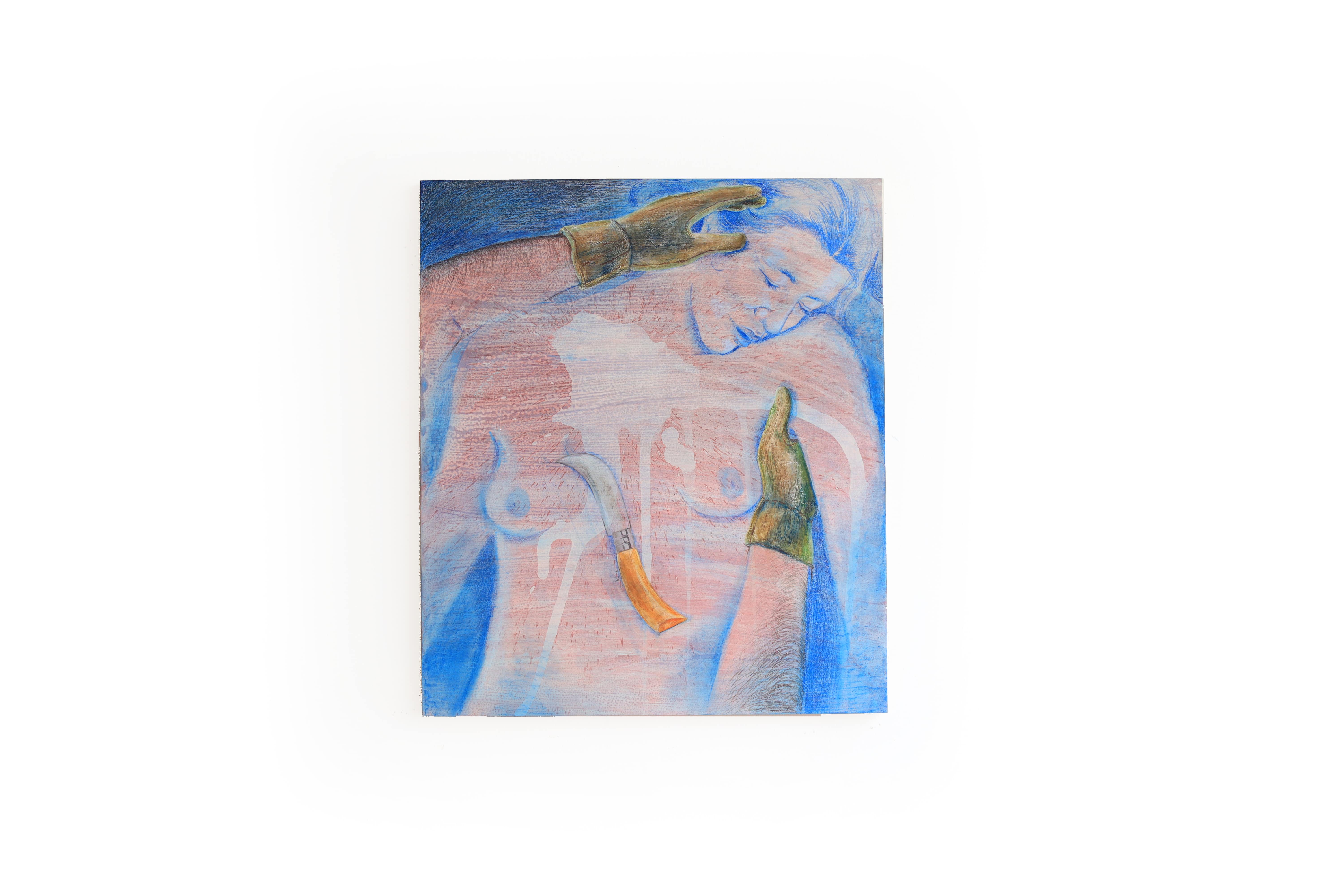 Vytrhnutá, malba zesnulé ženy, malba, kresba, pastelky a pastely, Lištica