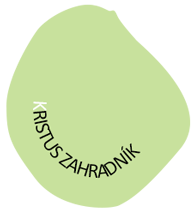 tisen logo