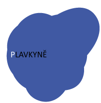 plavkyne logo